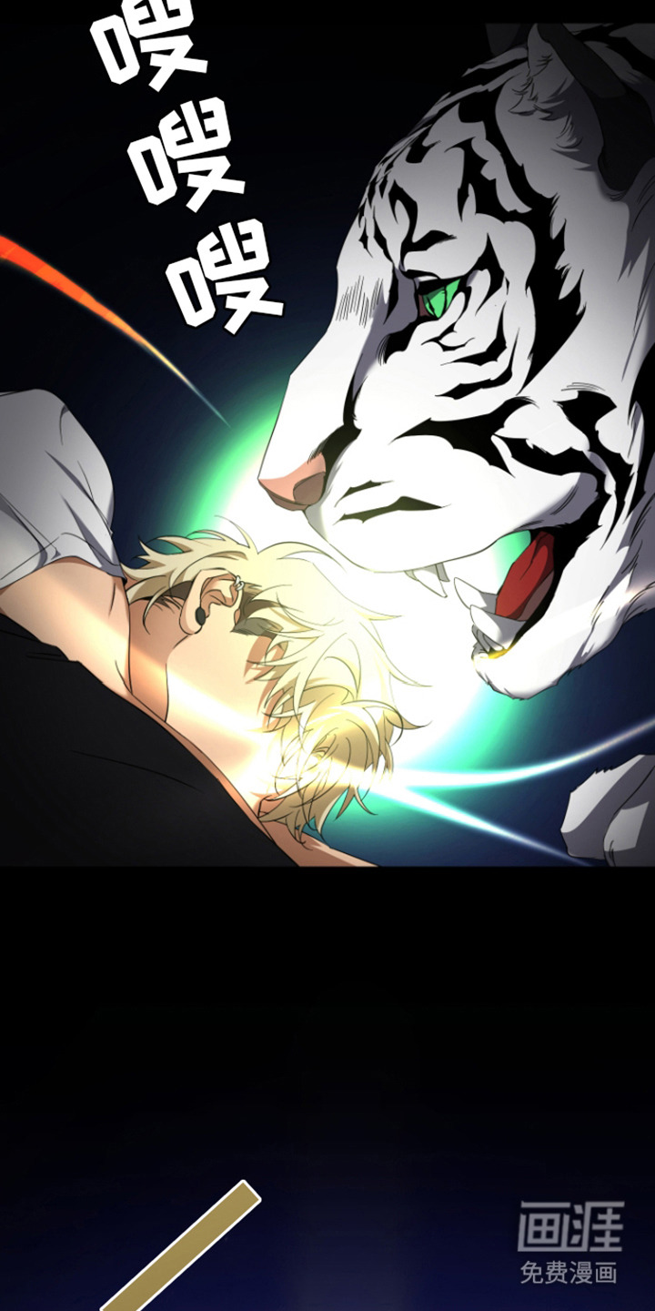 犯案的老虎第1话图