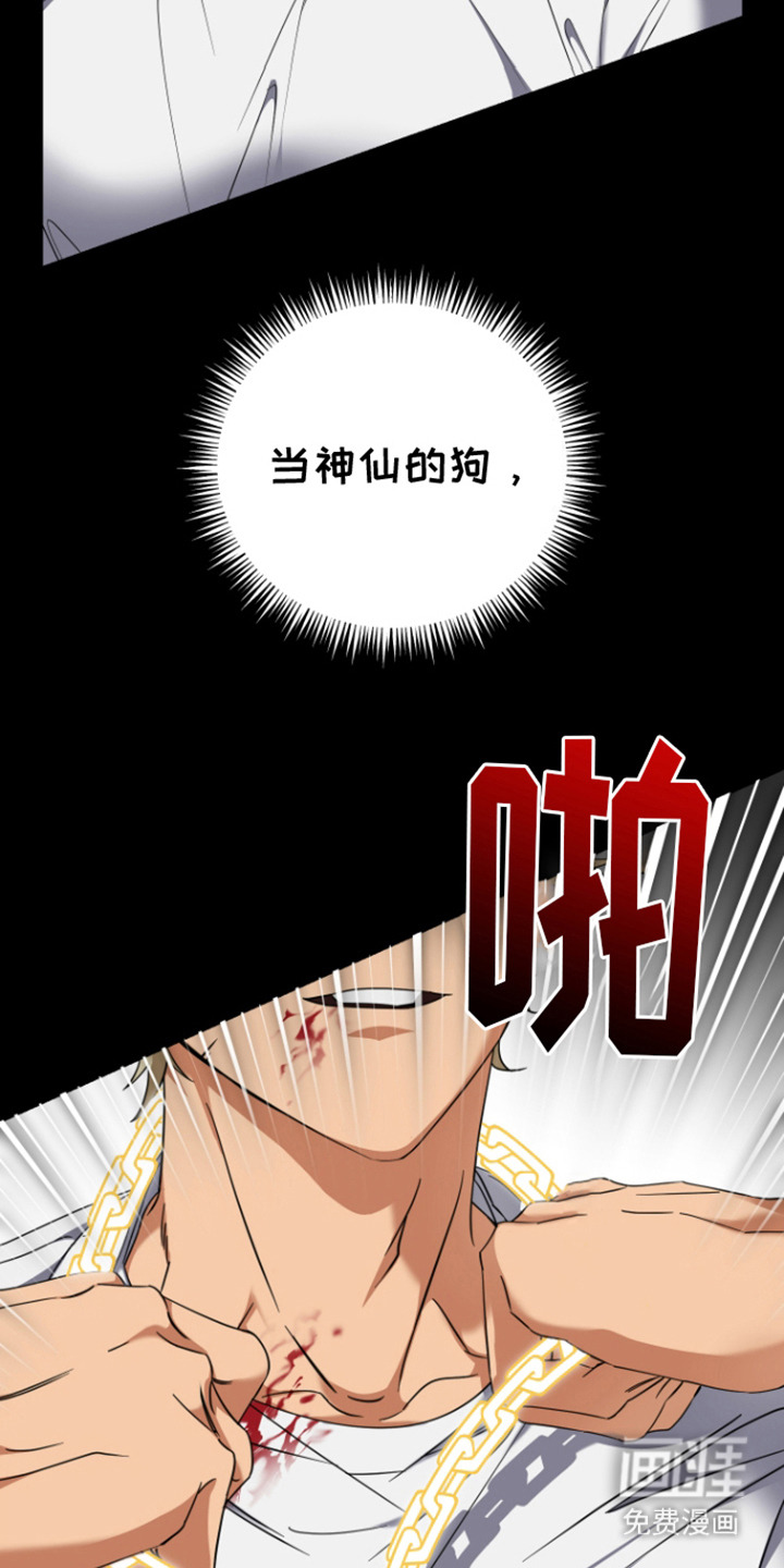 犯案的老虎第1话图