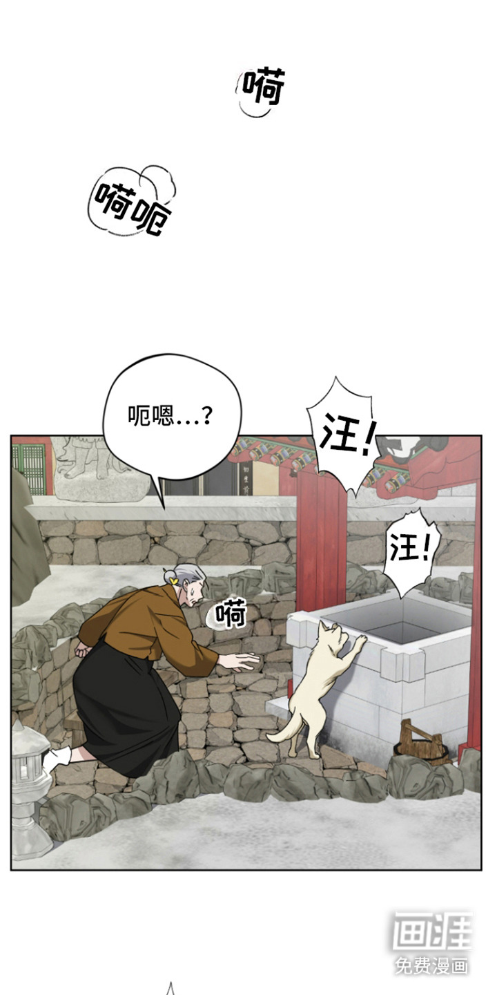 犯案的老虎第10话图