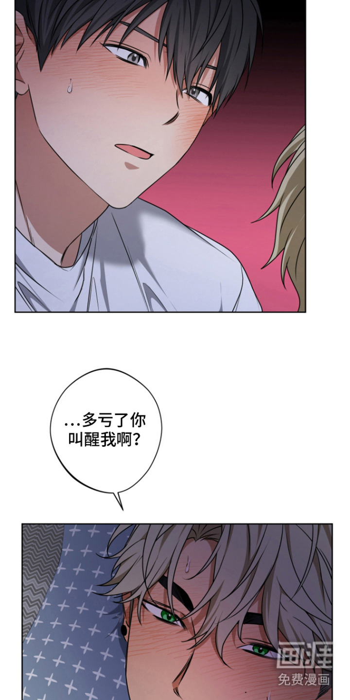 犯案的老虎第13话图