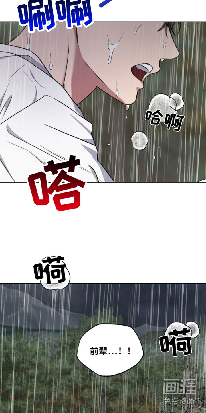 犯案的老虎第19话图