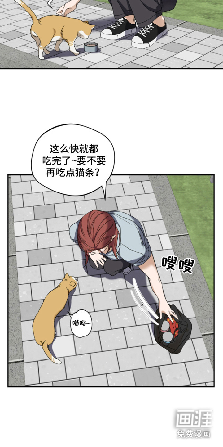 犯案的老虎第2话图