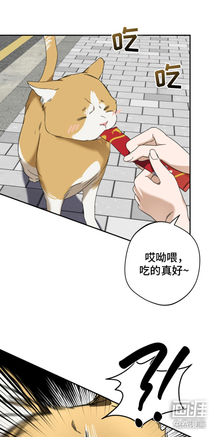 犯案的老虎第2话图