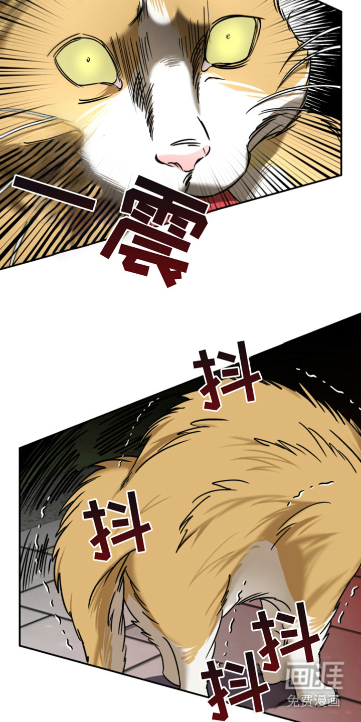 犯案的老虎第2话图