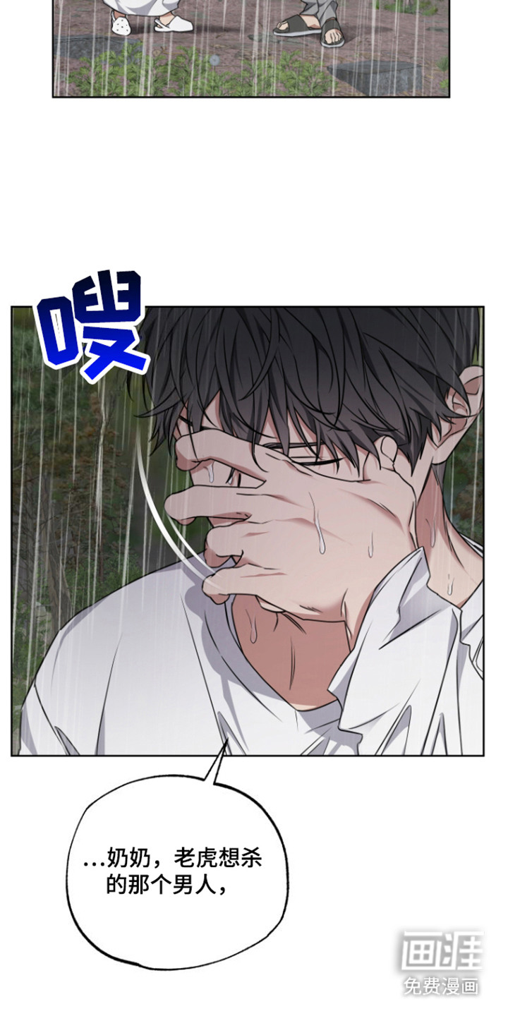 犯案的老虎第20话图