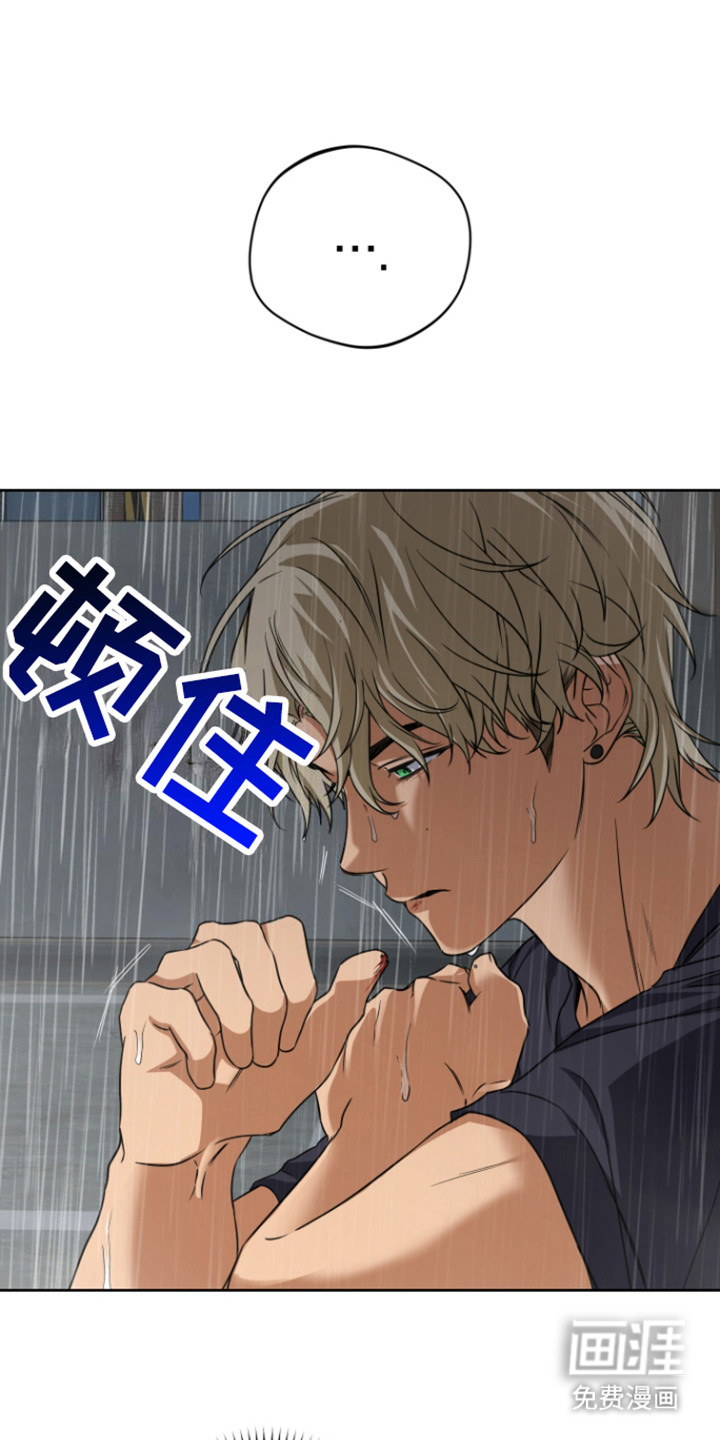 犯案的老虎第21话图