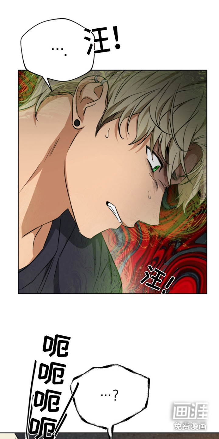 犯案的老虎第24话图