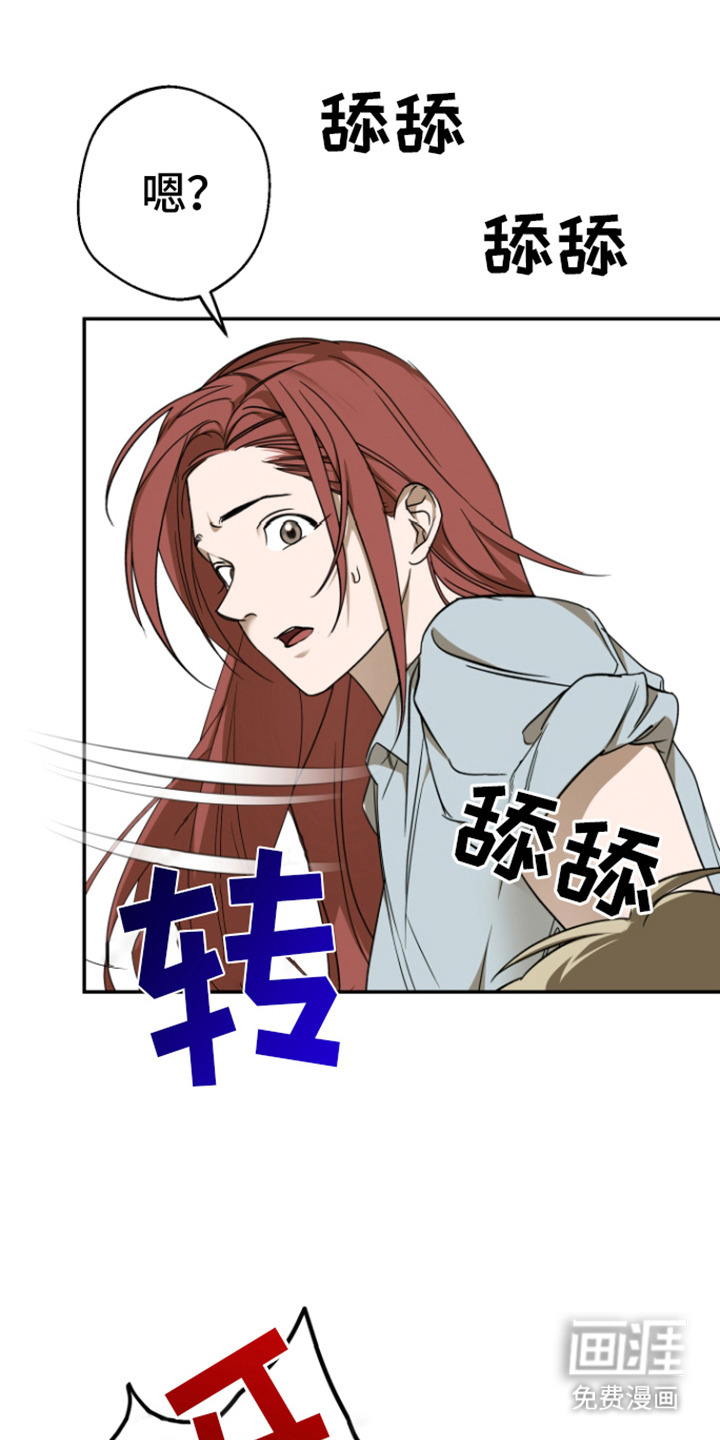 犯案的老虎第3话图