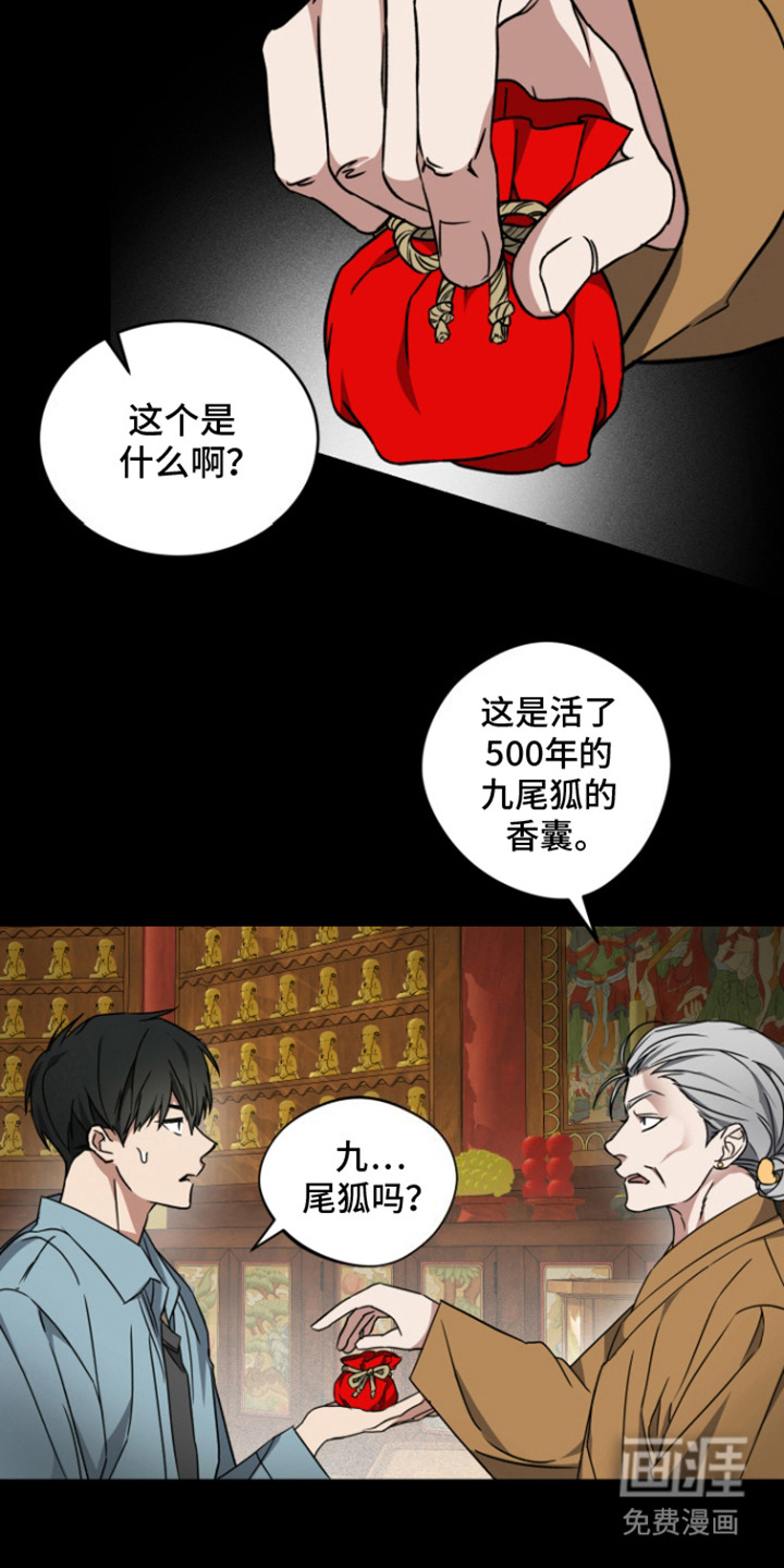 犯案的老虎第4话图