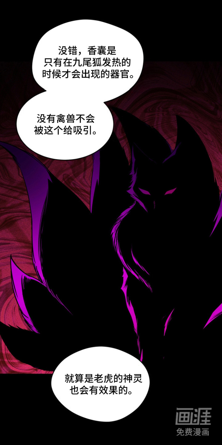 犯案的老虎第4话图