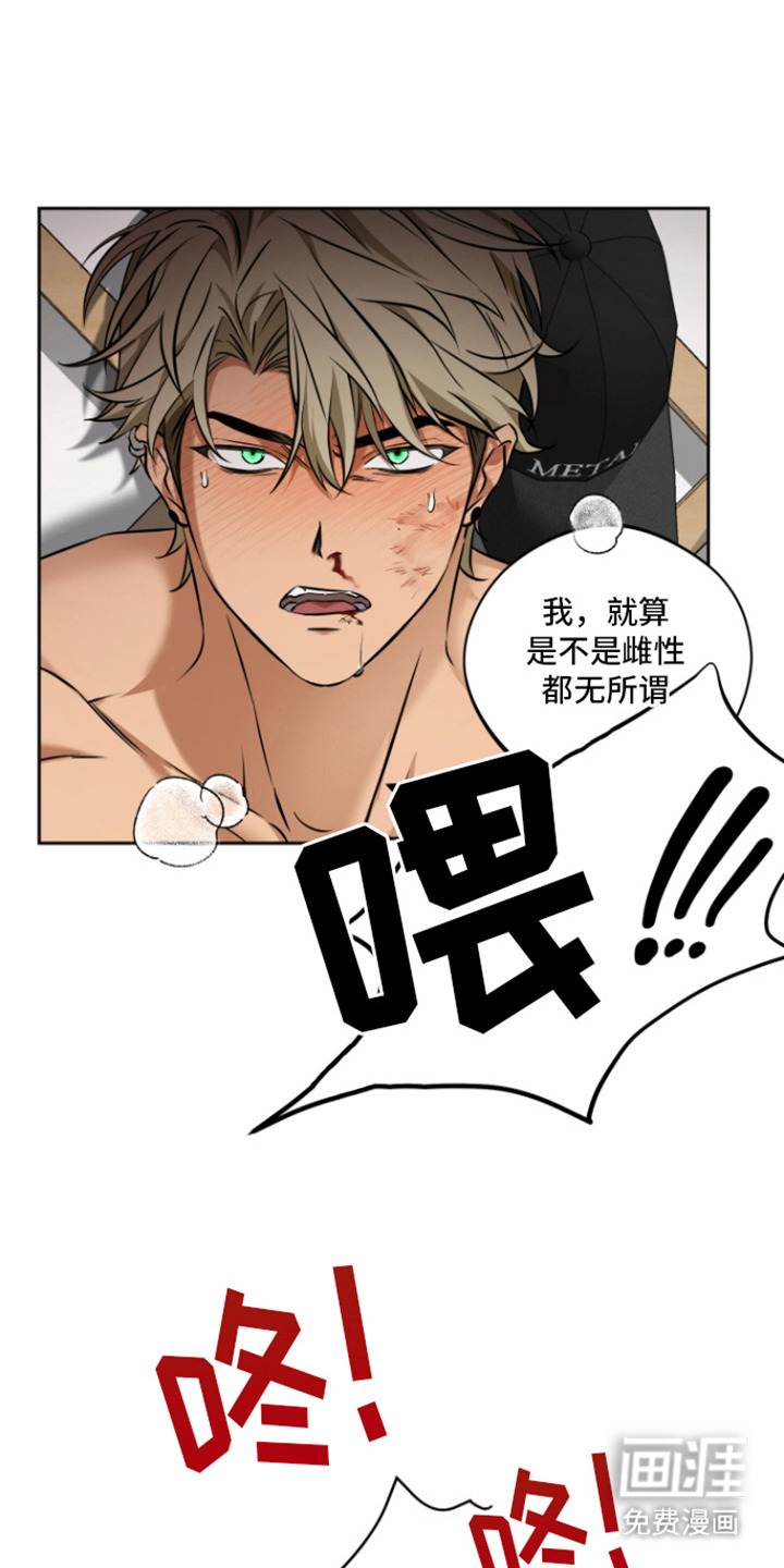 犯案的老虎第7话图