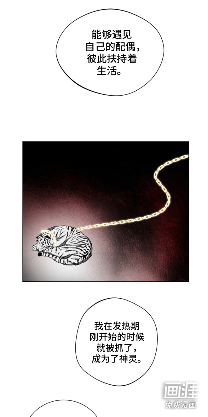 犯案的老虎第8话图