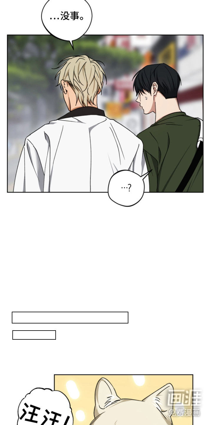 犯案的老虎第9话图