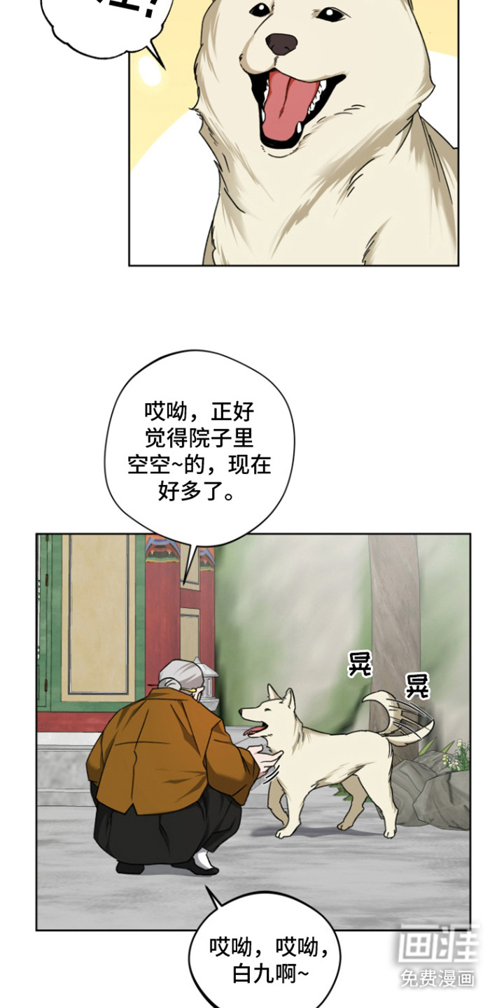 犯案的老虎第9话图