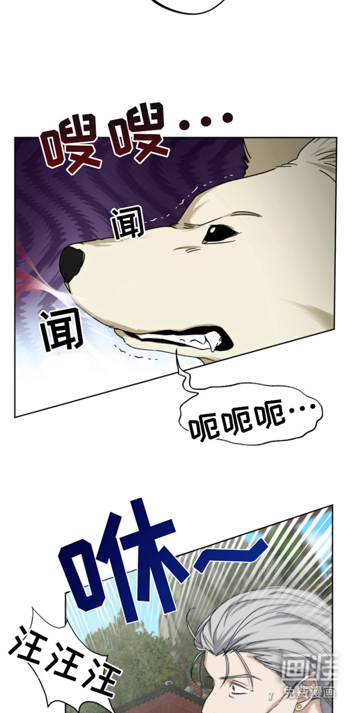 犯案的老虎第9话图