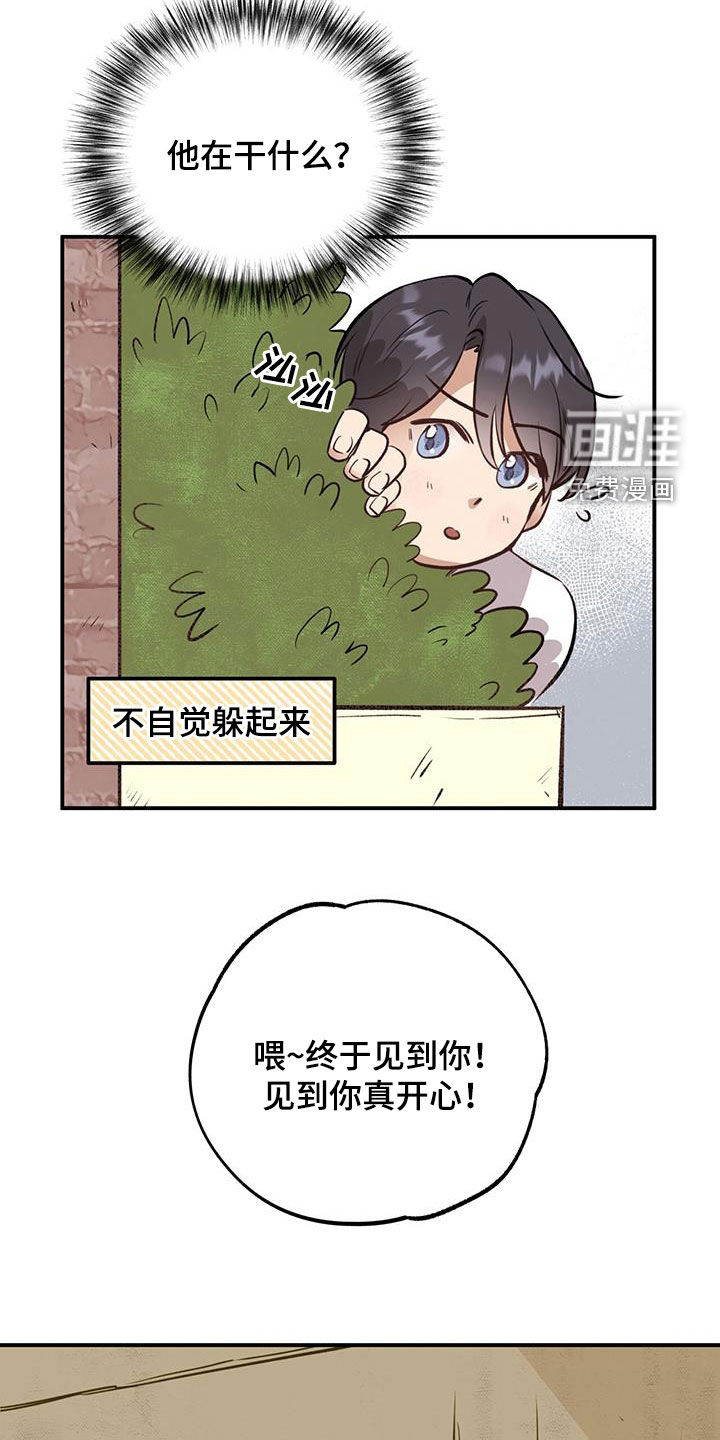 蜂蜜熊第39话图