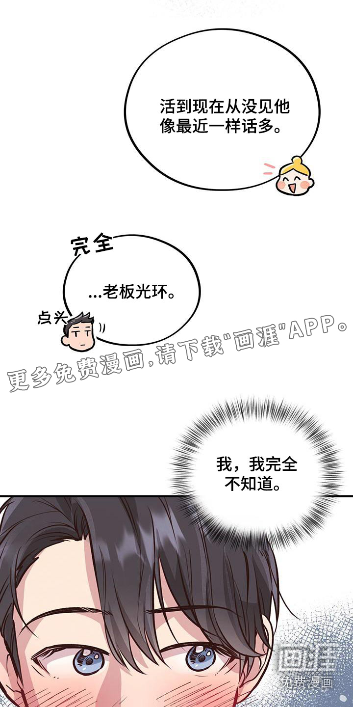 蜂蜜熊第48话图