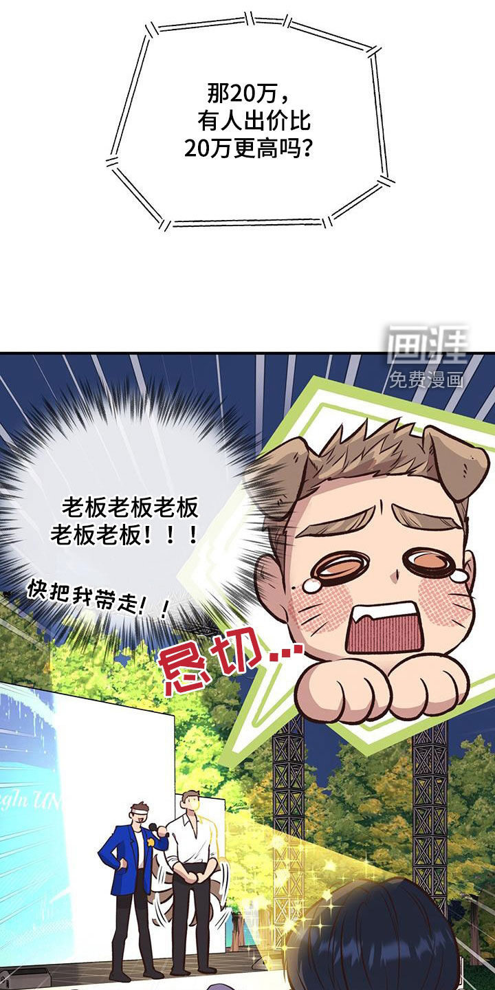 蜂蜜熊第50话图