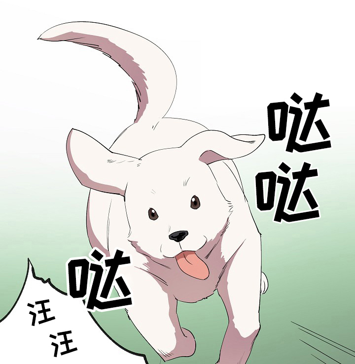 房主归来第21话图