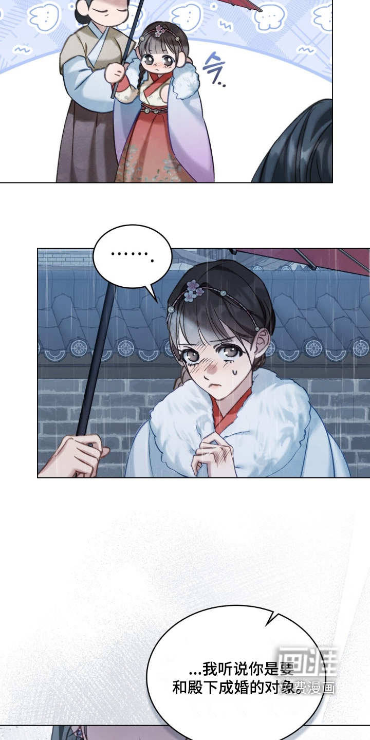 绯瞳禁婚漫画-图13