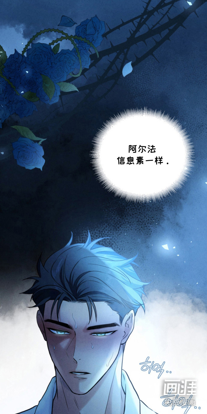 风险回报漫画-图9