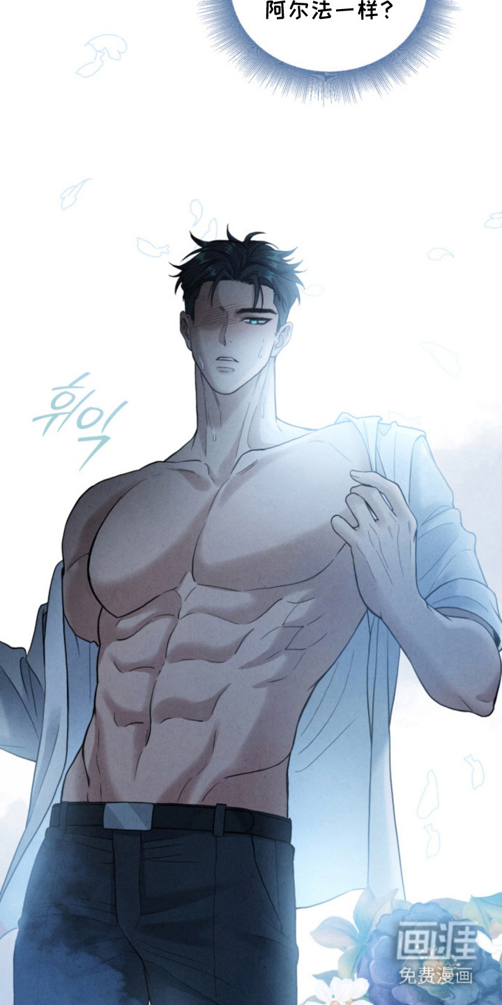 风险回报漫画-图15