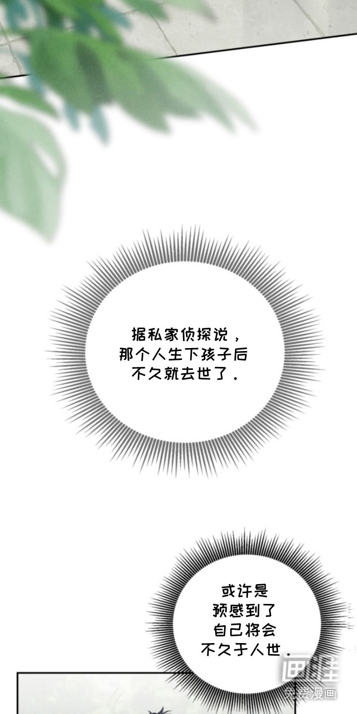 风险回报漫画-图13