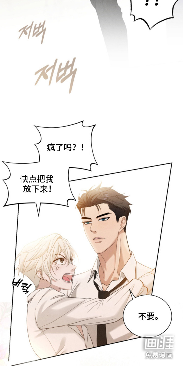 风险回报漫画-图11