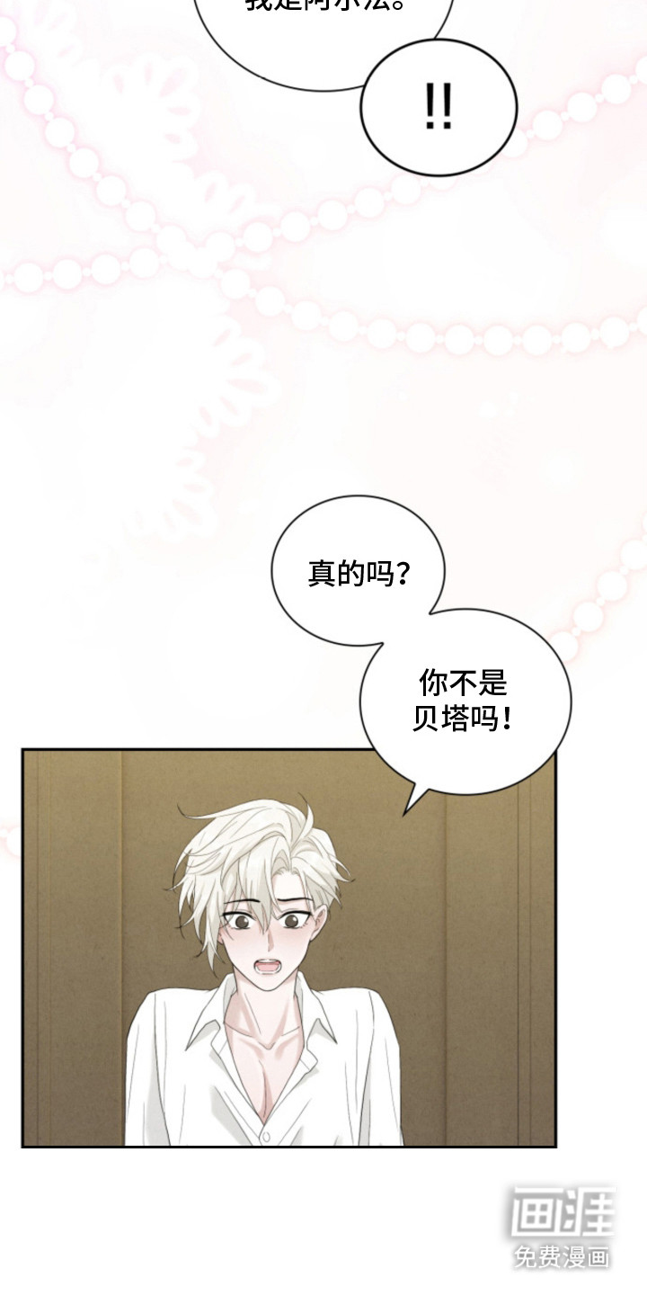 风险回报漫画-图29