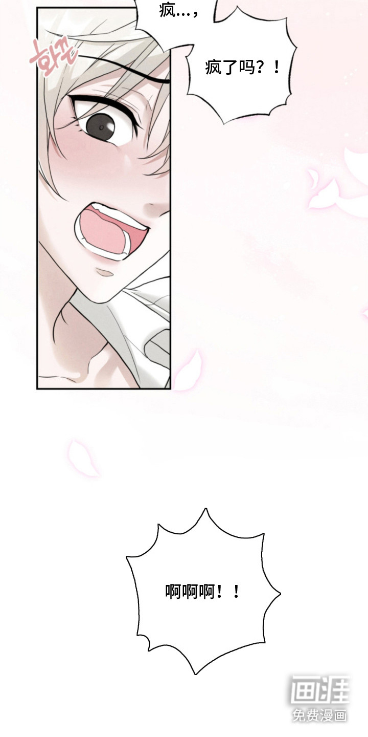 风险回报漫画-图31