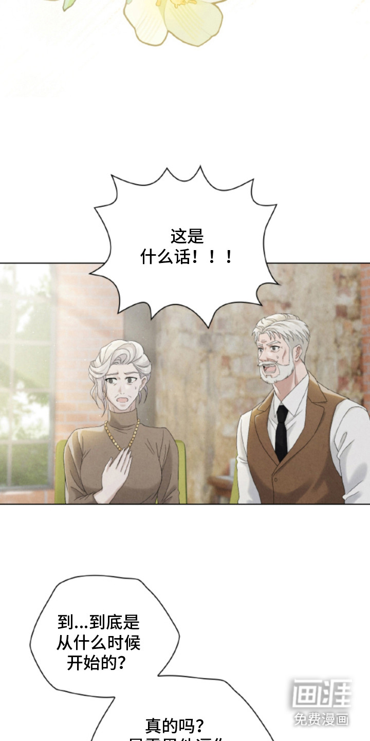 风险回报漫画-图16