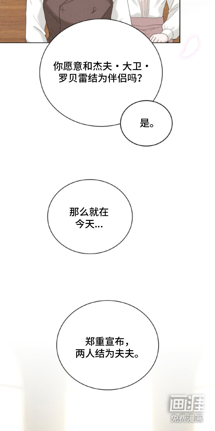 风险回报漫画-图15