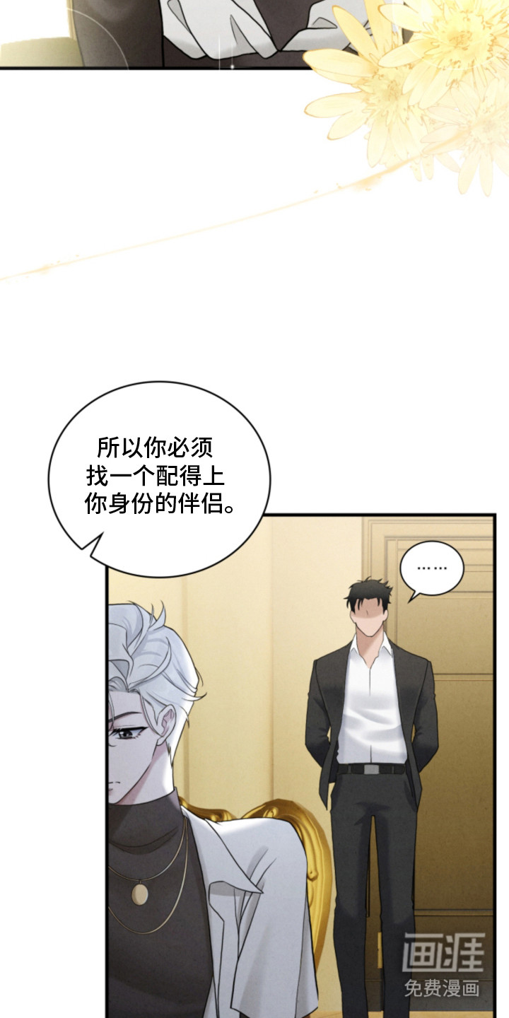 风险回报漫画-图22