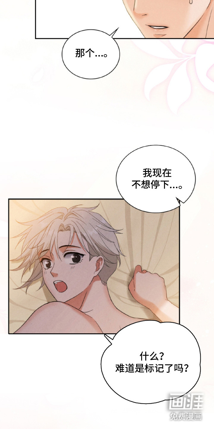 风险回报漫画-图16