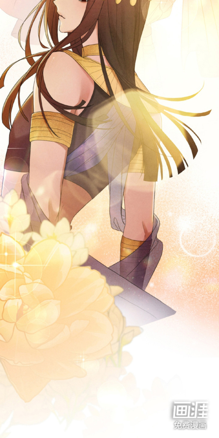 风险回报漫画-图23