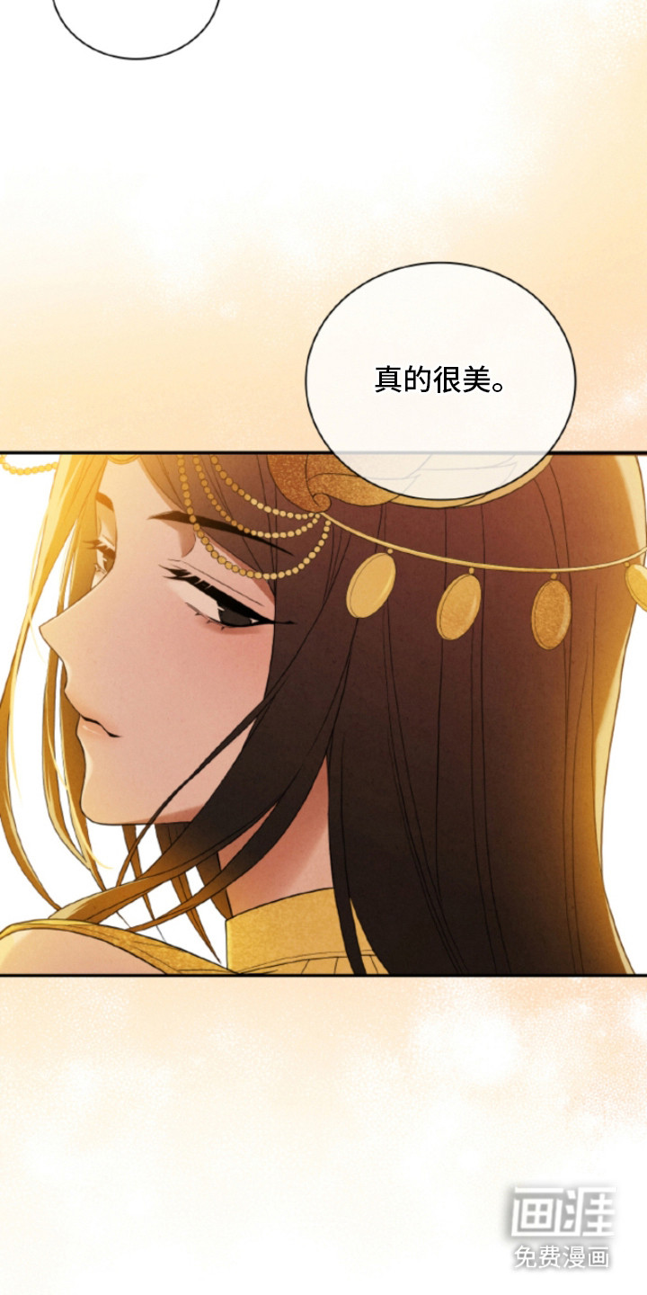风险回报漫画-图26