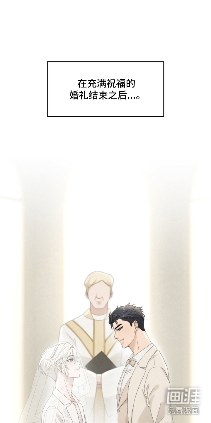 风险回报第24话第1页