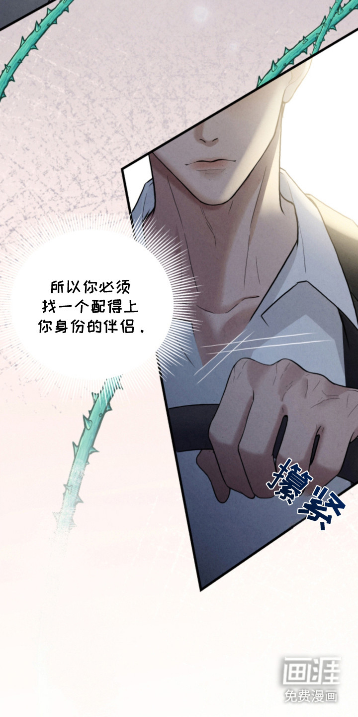 风险回报漫画-图7