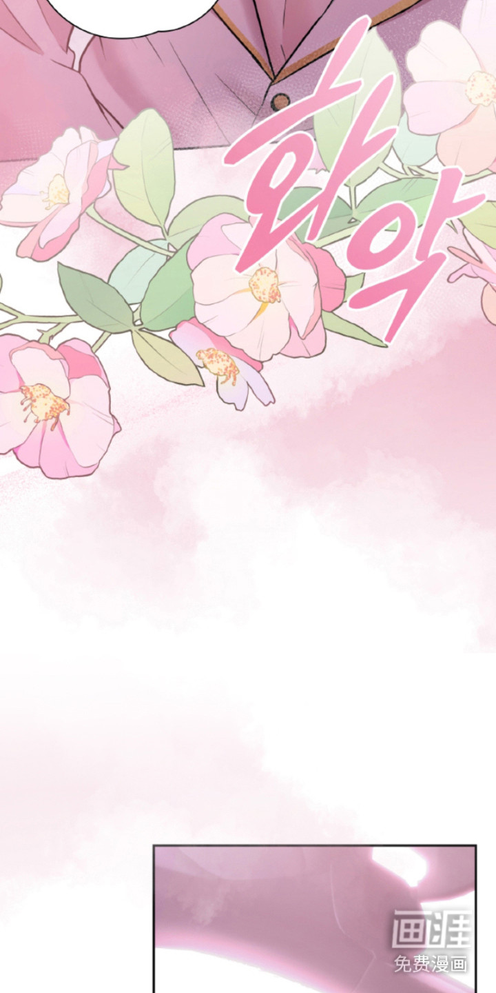 风险回报漫画-图24