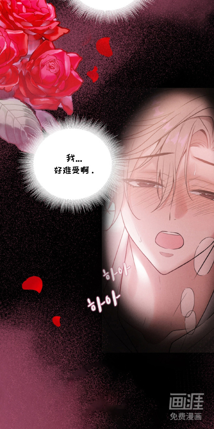 风险回报漫画-图8