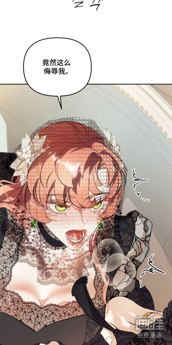 夫人的战争漫画-图3