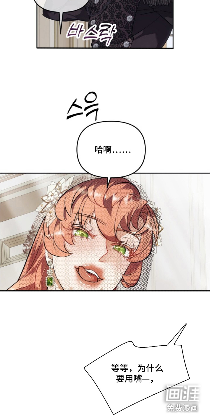 夫人的战争漫画-图5