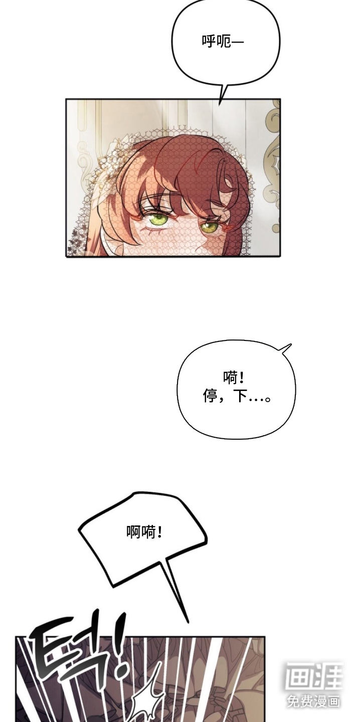 夫人的战争漫画-图7