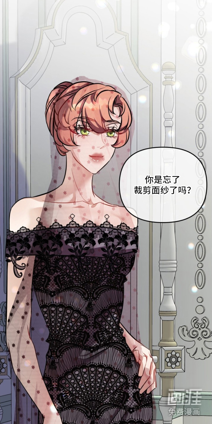 夫人的战争漫画-图12