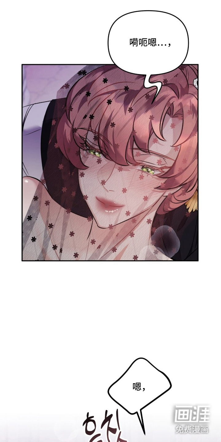 夫人的战争漫画-图4