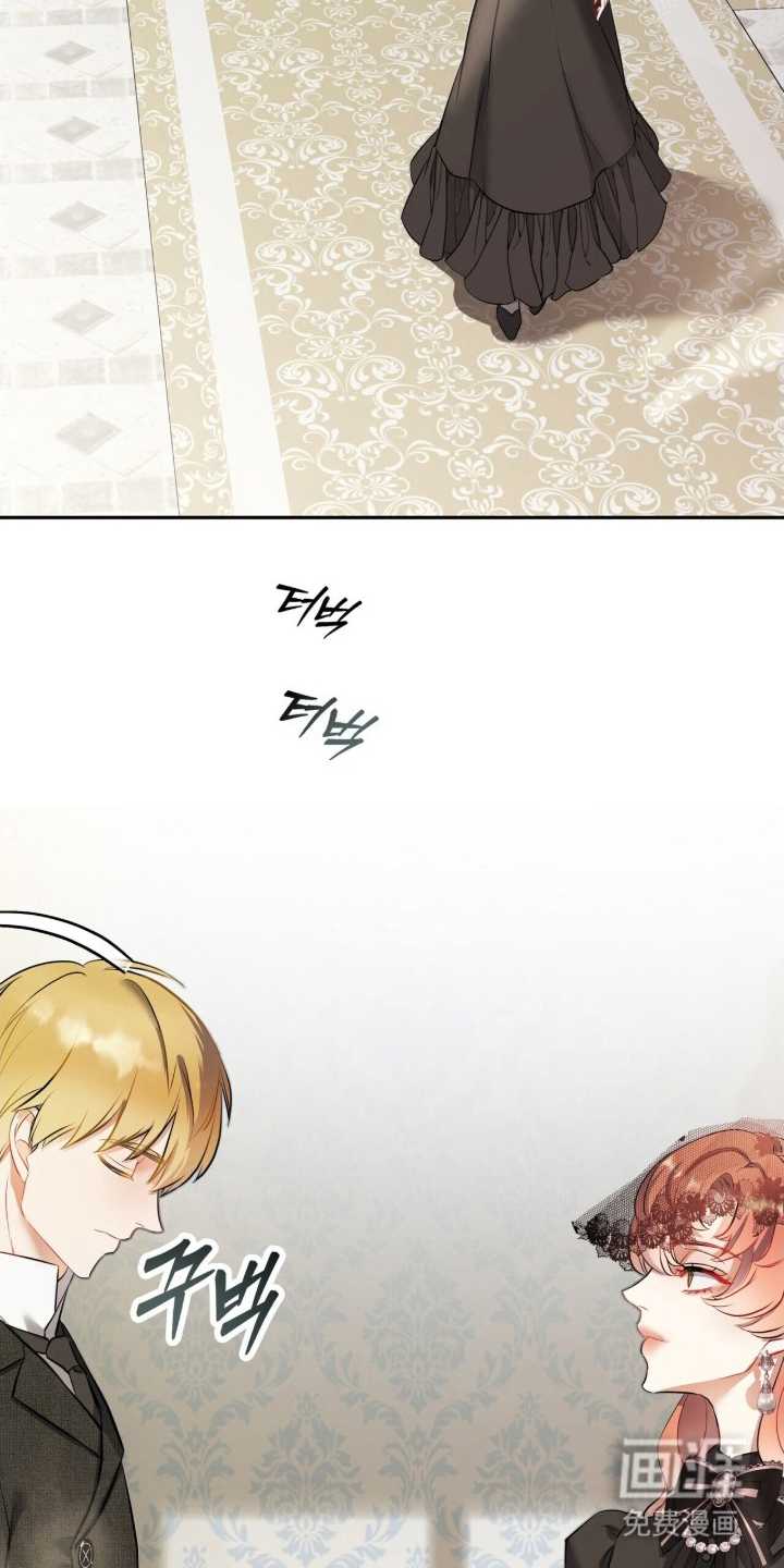 夫人的战争漫画-图5