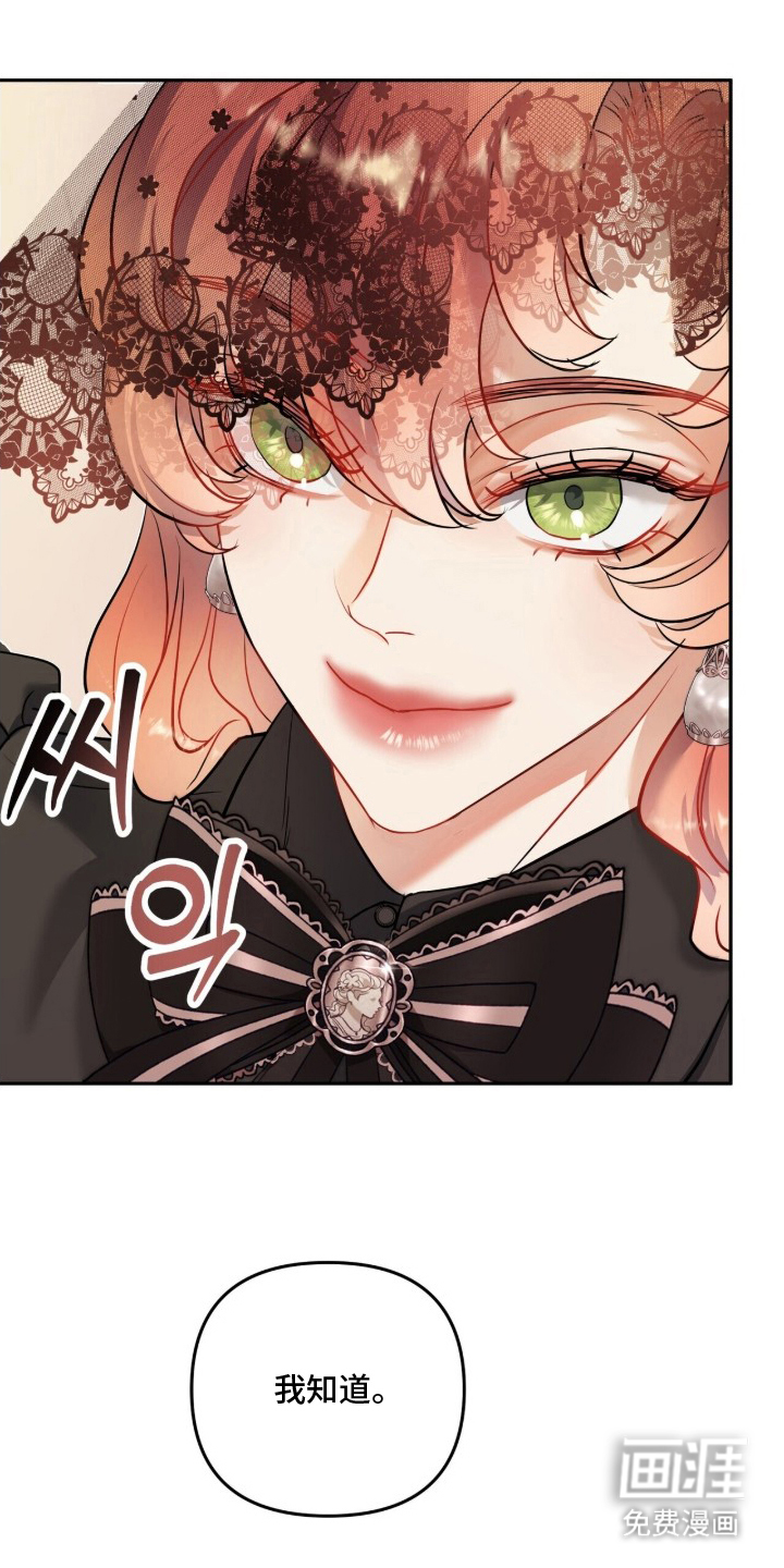 夫人的战争漫画-图8