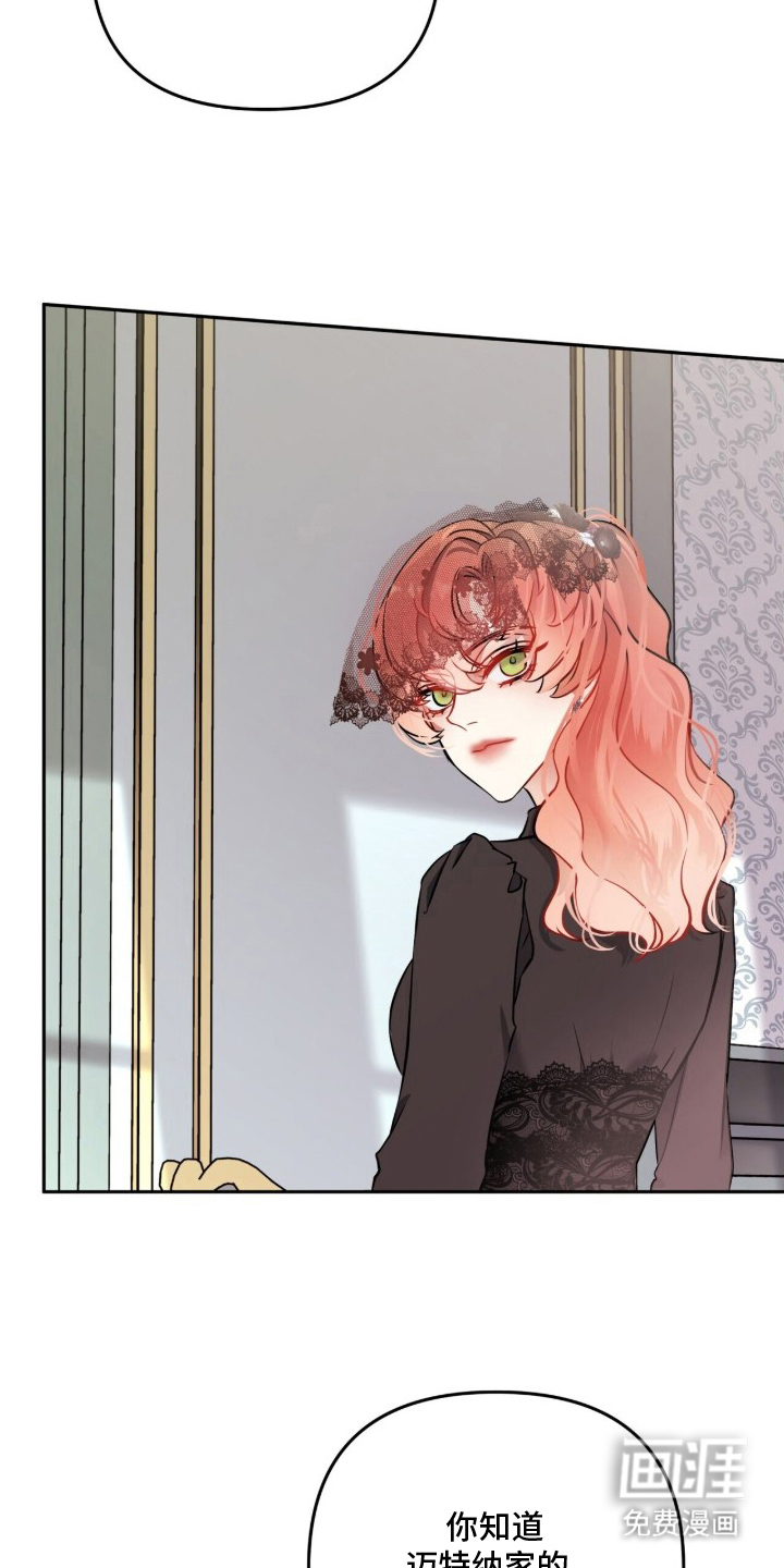 夫人的战争漫画-图12