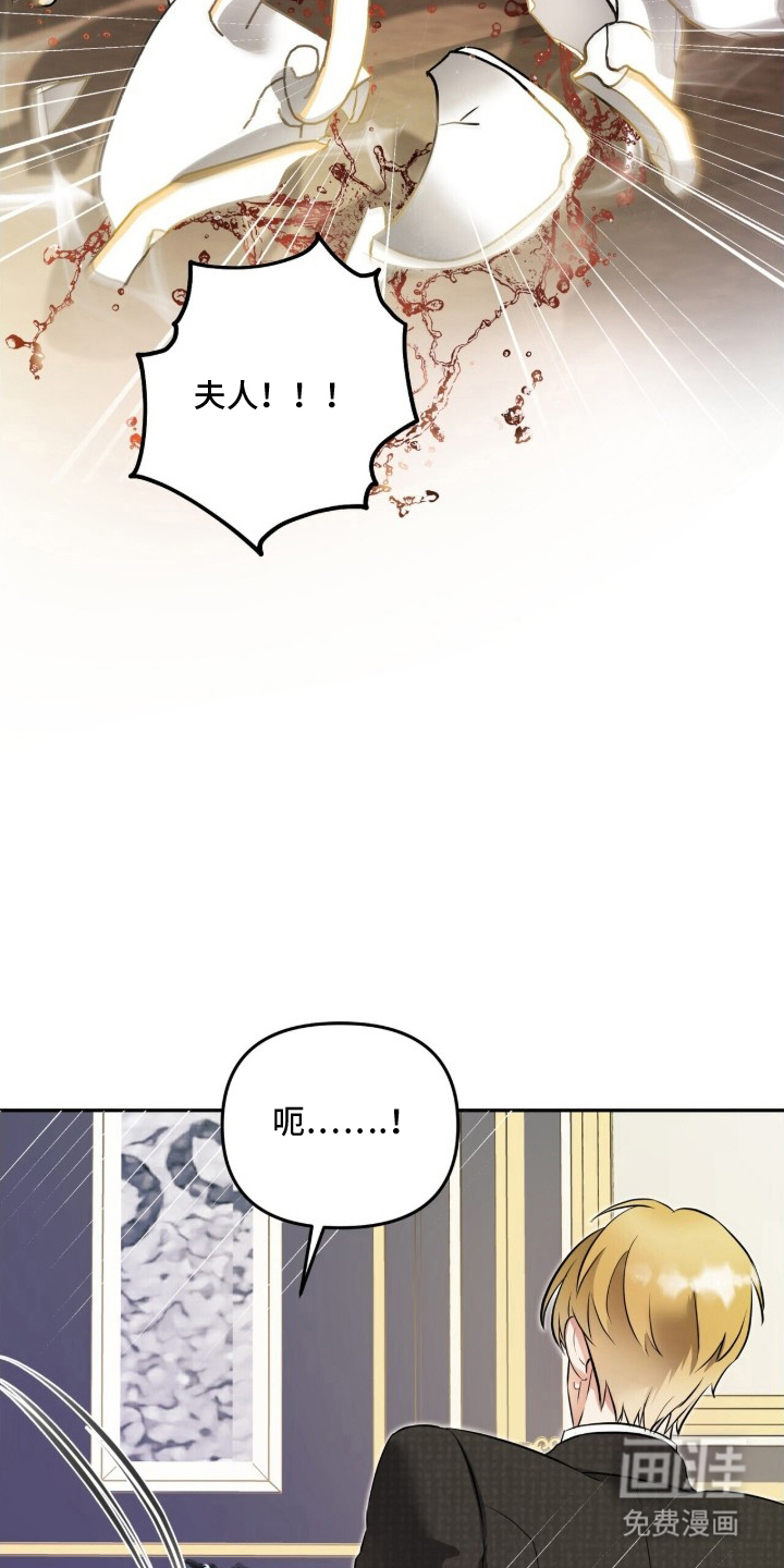 夫人的战争漫画-图3