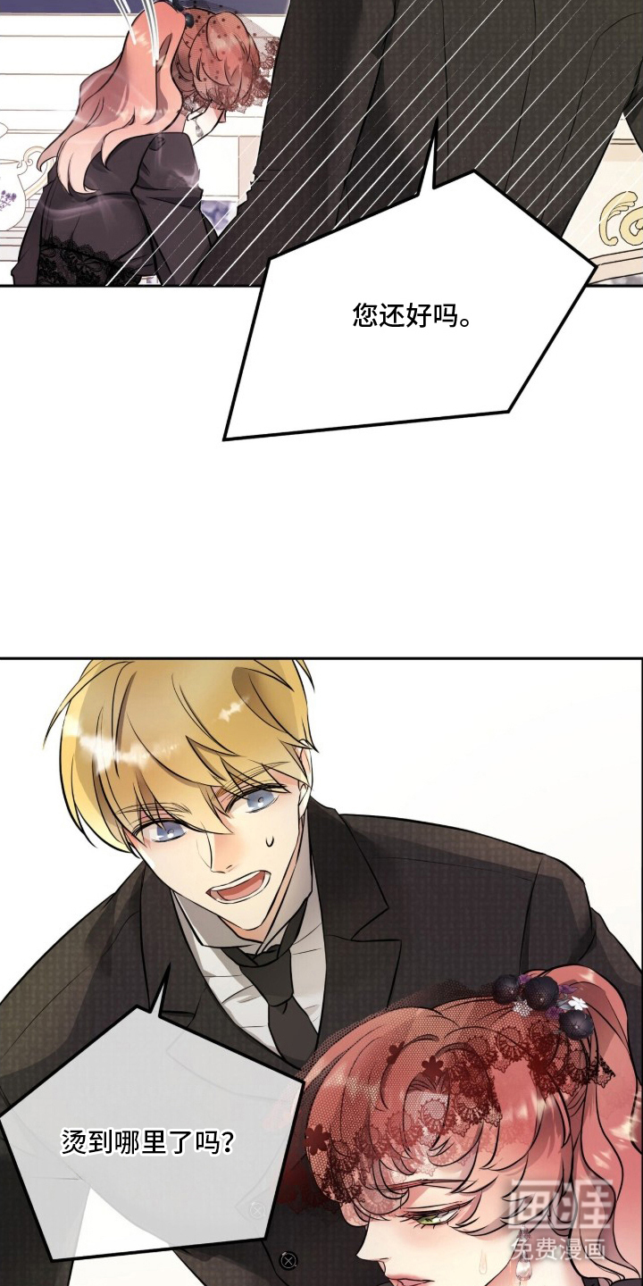 夫人的战争漫画-图4